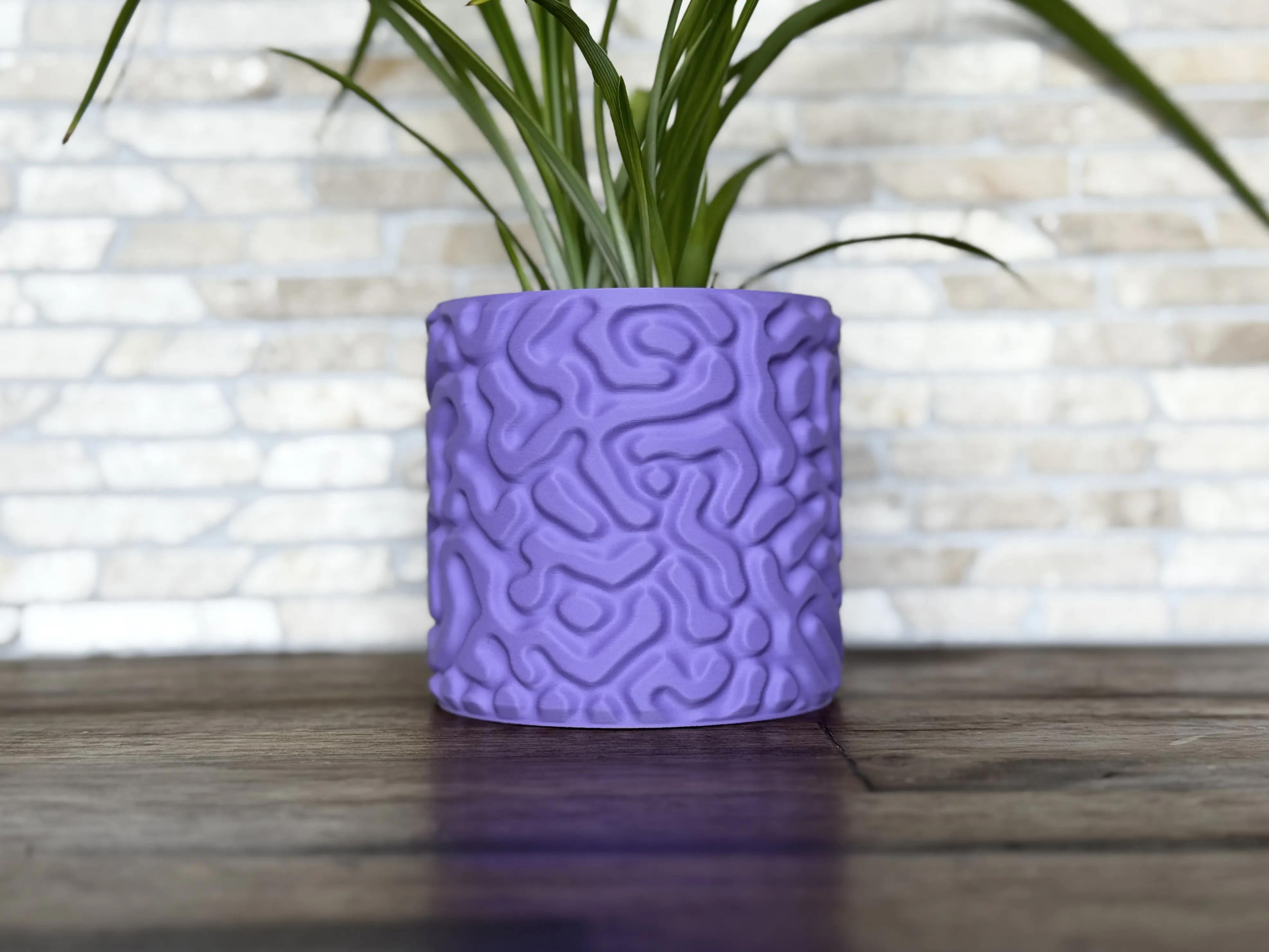 Кашпа Swirls (+) — стена вдясно · wall-on-right · стена вдясно